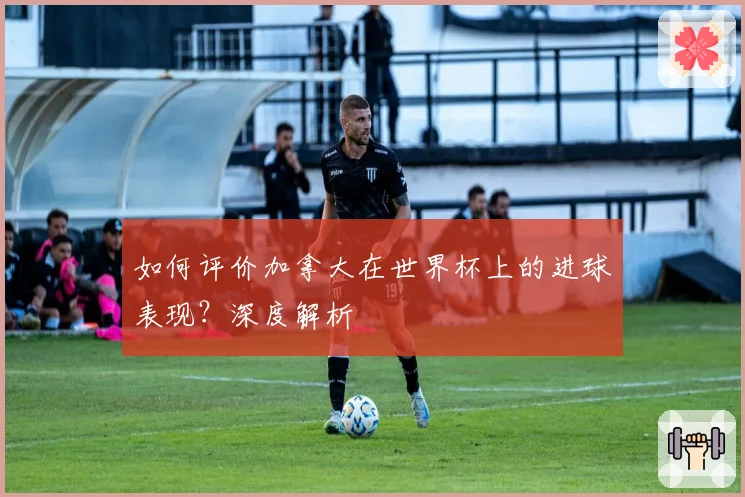 如何评价加拿大在世界杯上的进球表现?深度解析